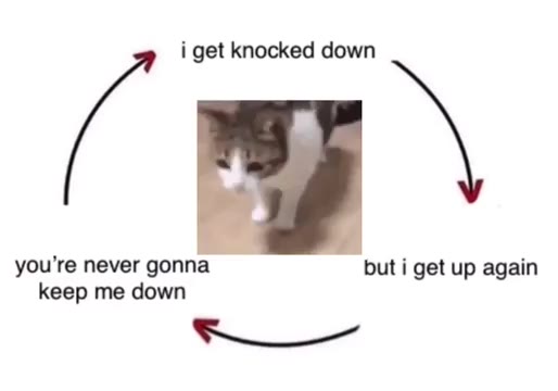 i get knocked down never gonna but i get up again keep me down