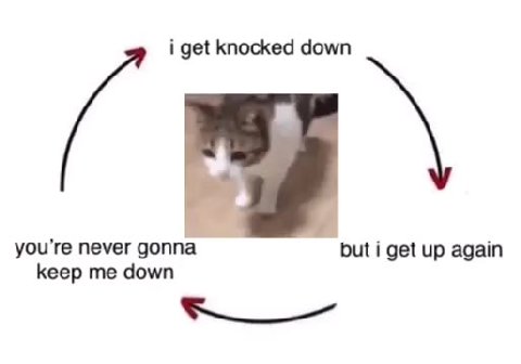 i get knocked down never gonna but i get up again keep me down