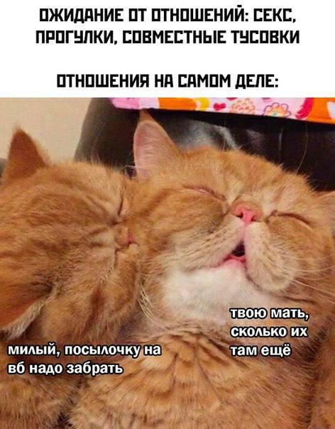 ОЖИДАНИЕ ОТ ОТНОШЕНИЙ: СЕКС, ПРОГУЛКИ, СОВМЕСТНЫЕ. ТУСОВКИ ОТНОШЕНИЯ НА САМОМ ДЕЛЕ: твою мать, сколько милый, посылочку на там ещё надо забрать