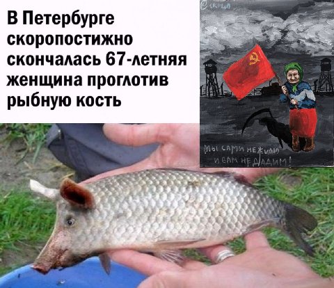 В Петербурге скоропостижно скончалась 67-летняя женщина проглотив рыбную кость