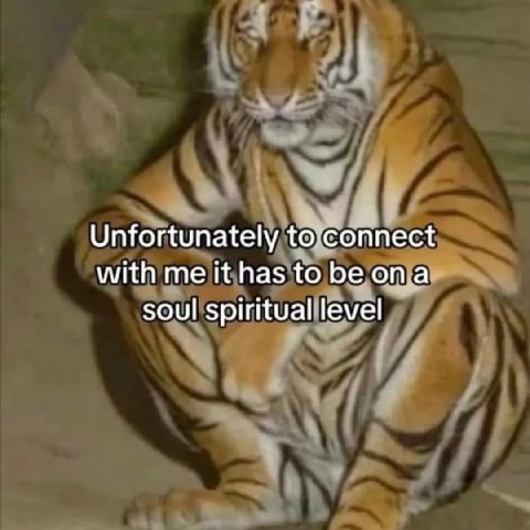 Unfortunately with me to be опа soul spiritual level