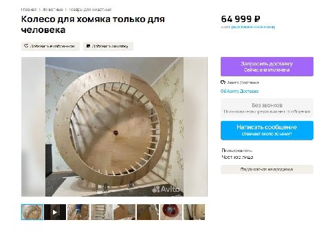 Главная Животные Товары для животных 64 999 Колесо для хомяка только для или предложите свою цену человека Добавить в избранное Добавить заметку Запросить доставку Сейчас она отключена Авито Доставка 