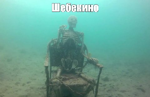 2 4 4;
