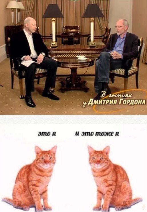 4 “4 “a ГОРДОНА это я и это тоже я