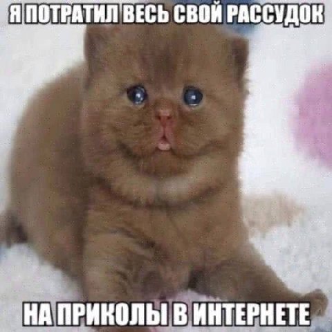 ПОТРАТИЛ ВЕСЬ СВОЙ РАССУДОК НА ПРИКОЛЫ В ИНТЕРНЕТЕ
