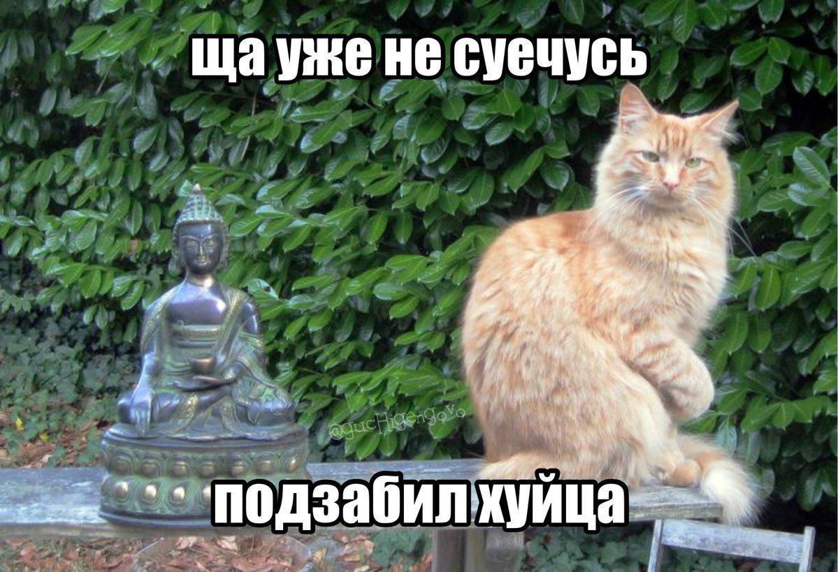 щауже HE суечусь У A ```‘подзабил