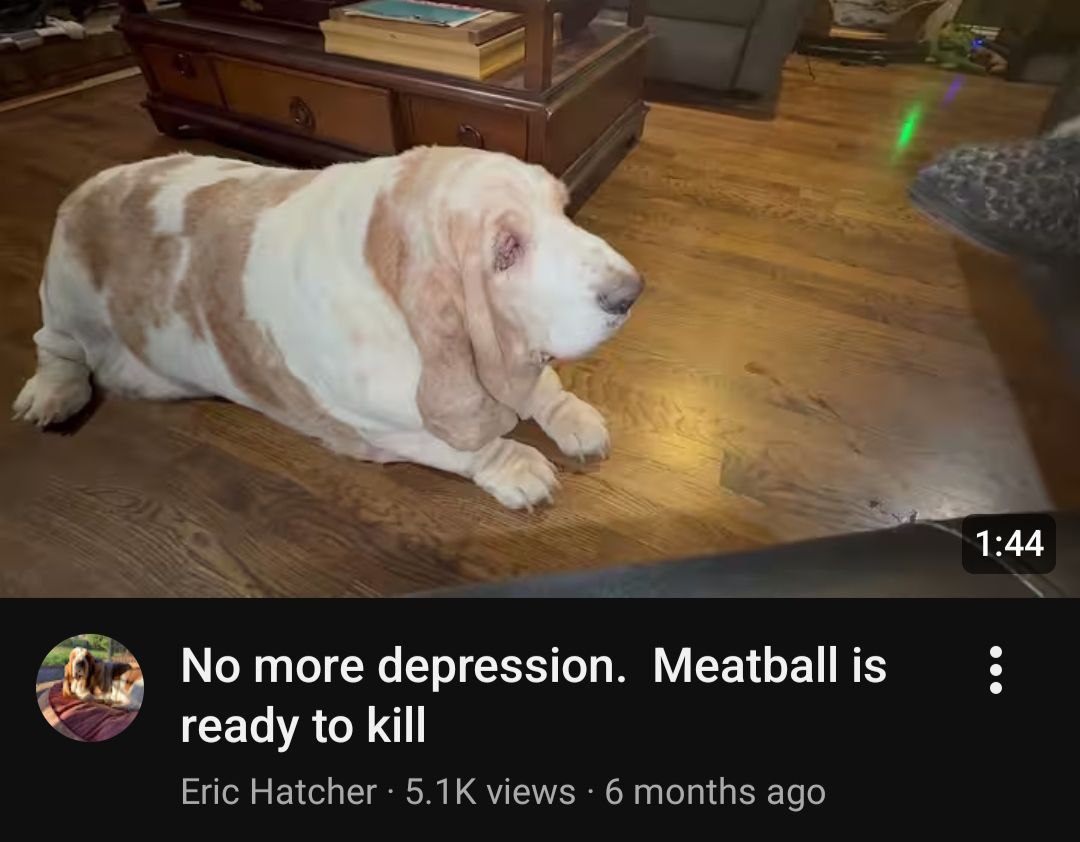 1:44 No more depression. Meatball is ready to kill Eric Hatcher views 6 months ago