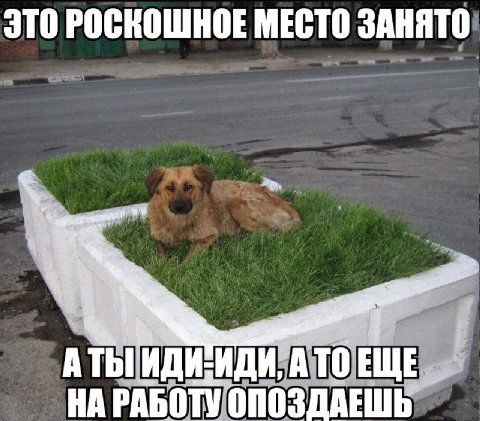 ЭТО РОСКОШНОЕ МЕСТО ЗАНЯТО ATbI ИДИ, A то НА РАБОТУ ОПОЗДАЕШЬ