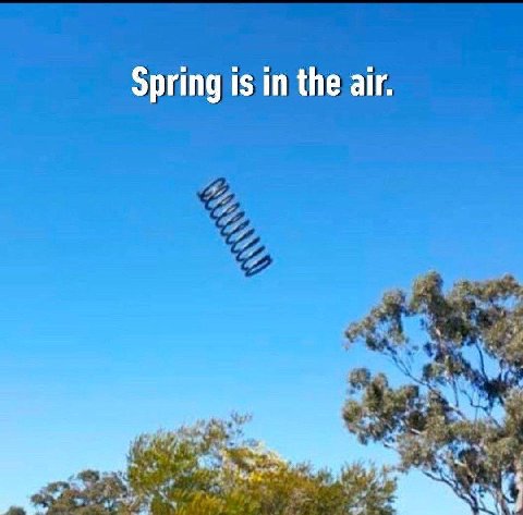 Spring is in the air.