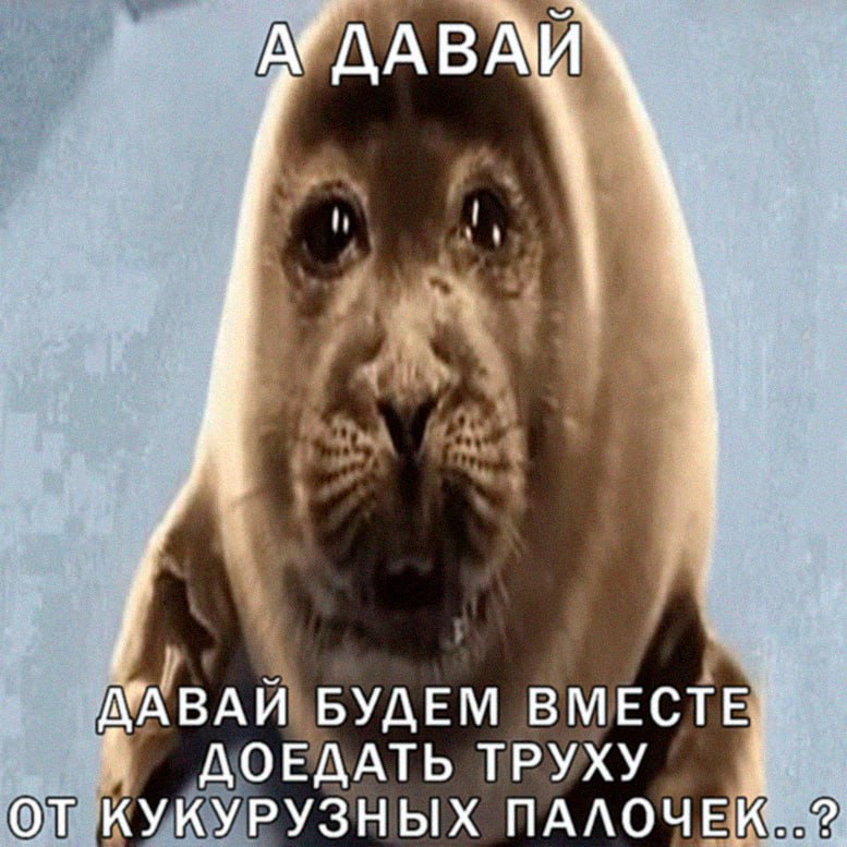 ДАВАЙ БУДЕМ ДОЕДАТЬ ТРУХУ ОТ КУКУРУЗНЫХ ПАЛОЧЕК.