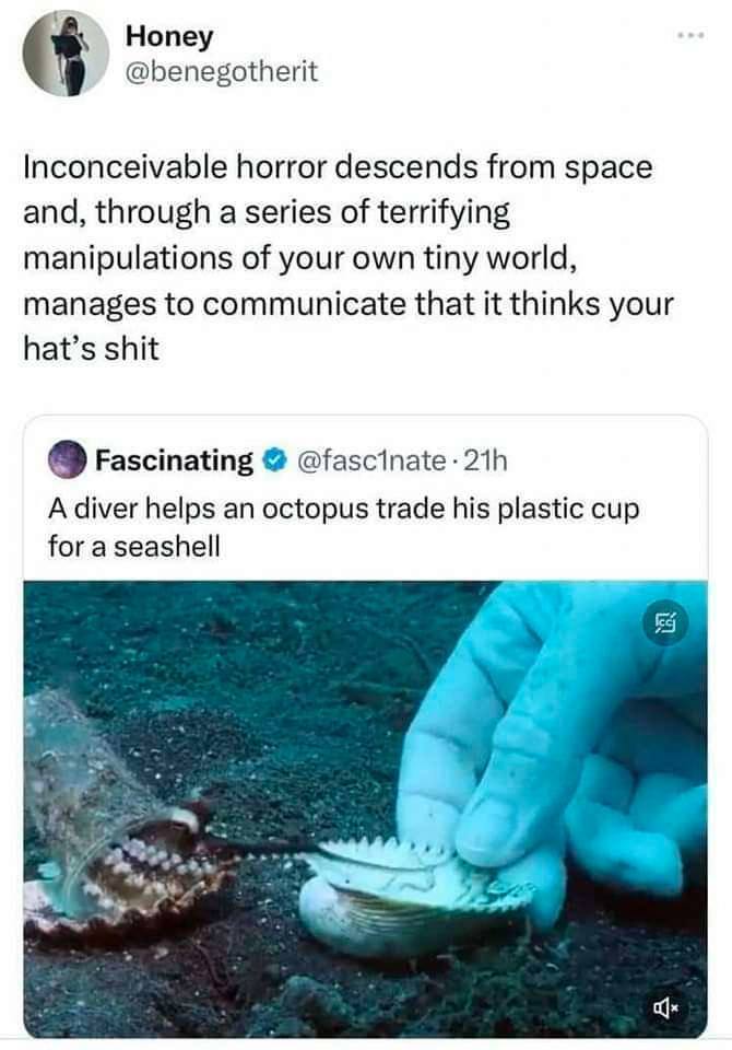 Нопеу @benegotherit Inconceivable horror descends from space and, through a series of terrifying manipulations of your own tiny world, manages to communicate that it thinks your hat’s shit Fascinating