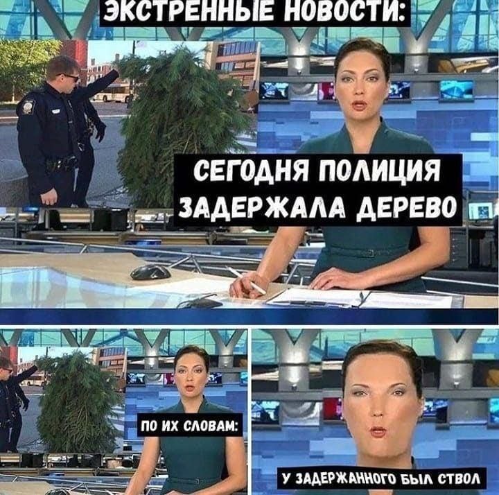 ЭКСТРЕННЫЕ СЕГОДНЯ ПОЛИЦИЯ ЗАДЕРЖАЛА ДЕРЕВО no СЛОВАМ: У БЫЛ СТВОЛ