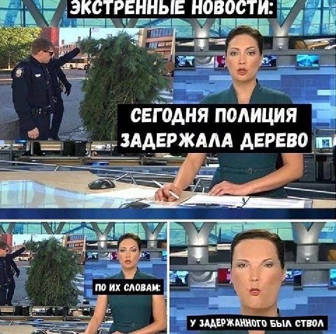 ЭКСТРЕННЫЕ СЕГОДНЯ ПОЛИЦИЯ ЗАДЕРЖАЛА ДЕРЕВО no СЛОВАМ: У БЫЛ СТВОЛ