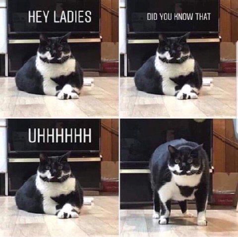 HEY LADIES DID YOU KNOW THAT