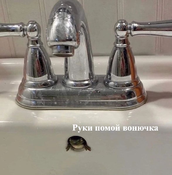 Руки помой вонючка