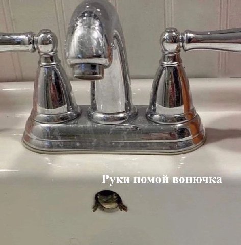 Руки помой вонючка