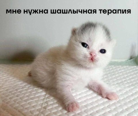 мне нужна шашлычная терапия Я а 4 у