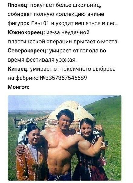 Японец: покупает белье школьниц, собирает полную коллекцию аниме фигурок Евы 01 и уходит вешаться в лес. Южнокореец: из-за неудачной пластической операции прыгает с моста. Северокореец: умирает от гол