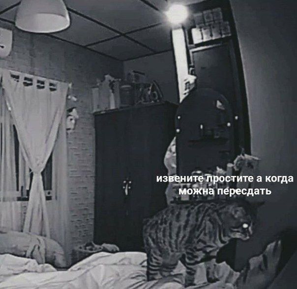извените простите а когда можна пересдать
