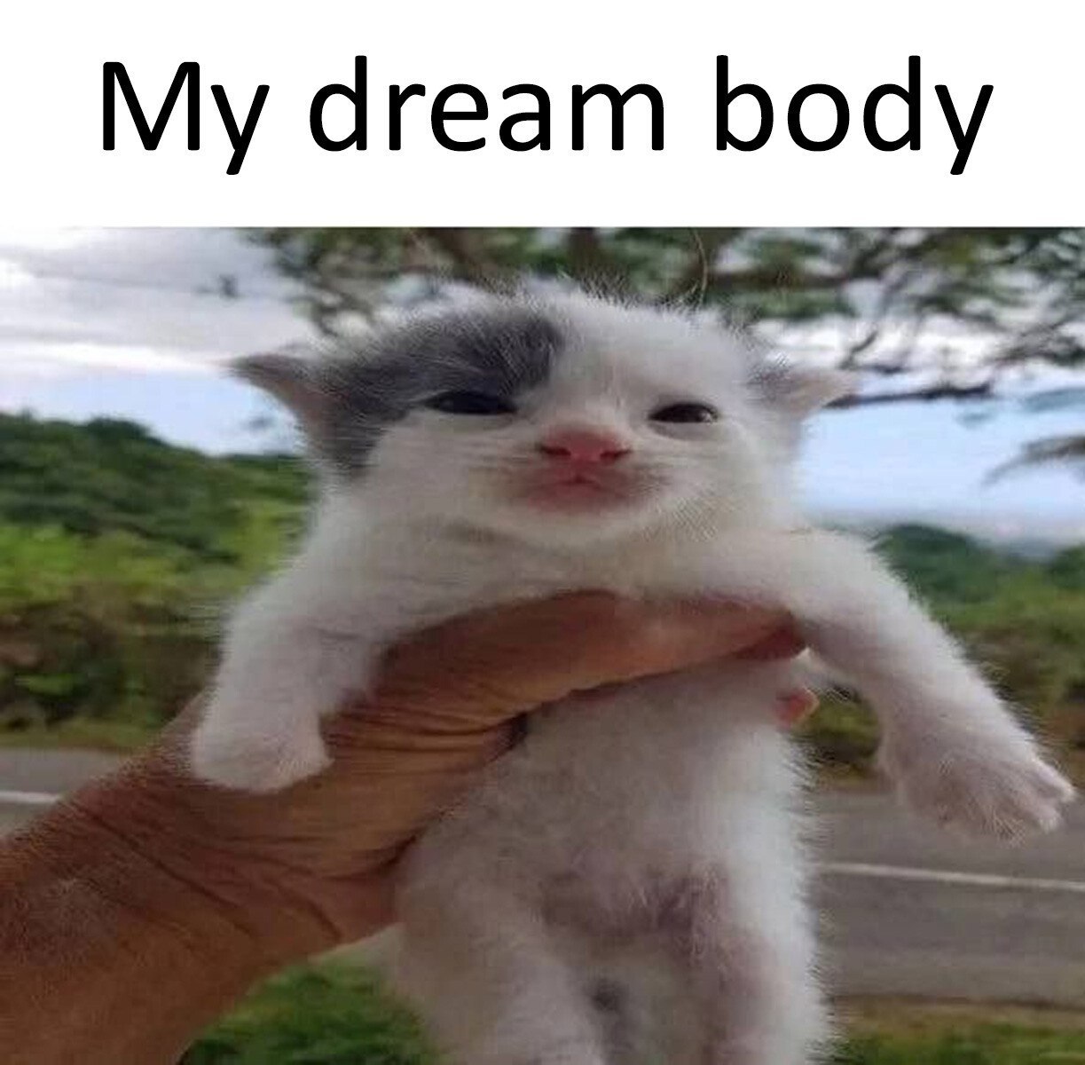 агеат body