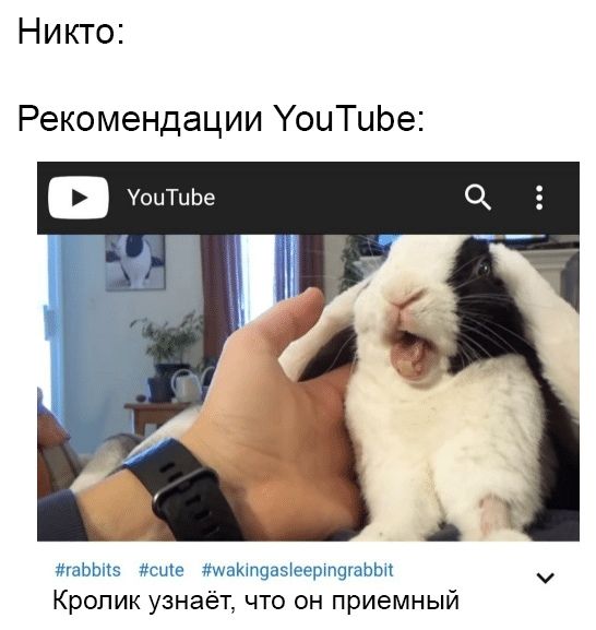 Никто: Рекомендации YouTube YouTube #rabbits #cute #wakingasleepingrabbit Кролик узнаёт, что он приемный