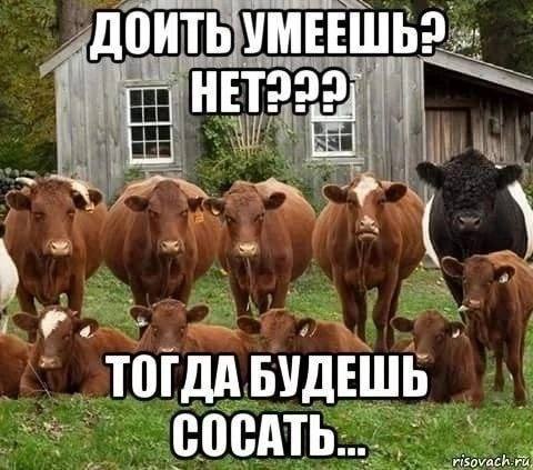 ТОГДАБУДЕШЬ