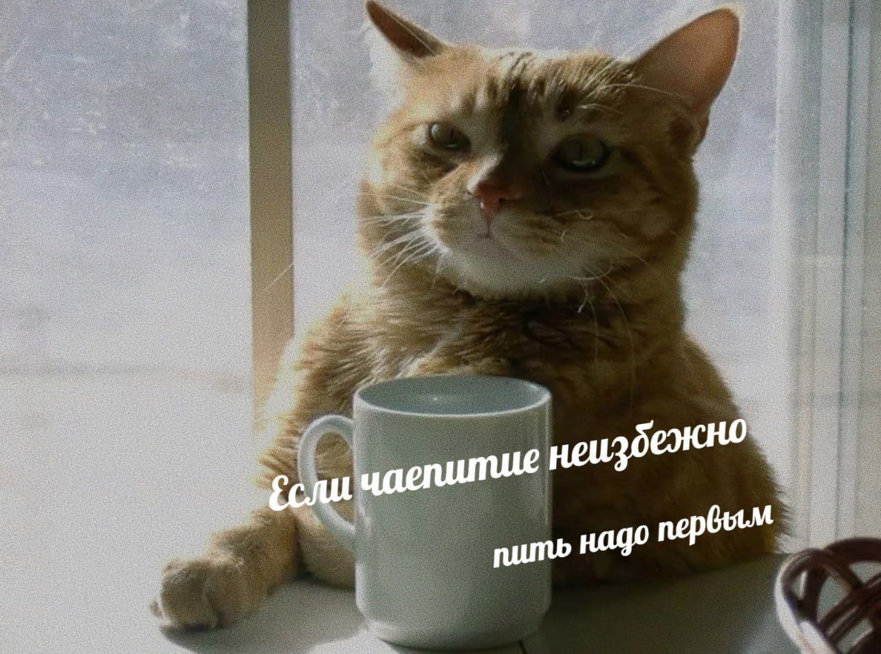чаепитие