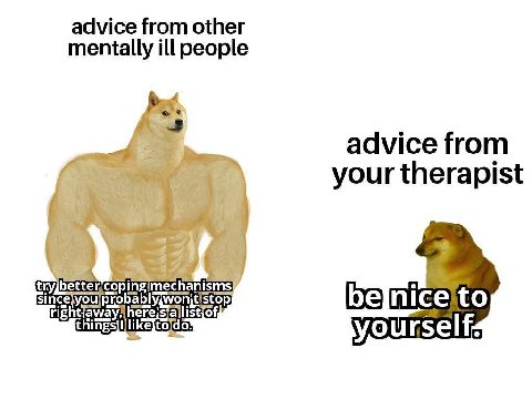 advice from other mentally ill people advice from your therapist things you