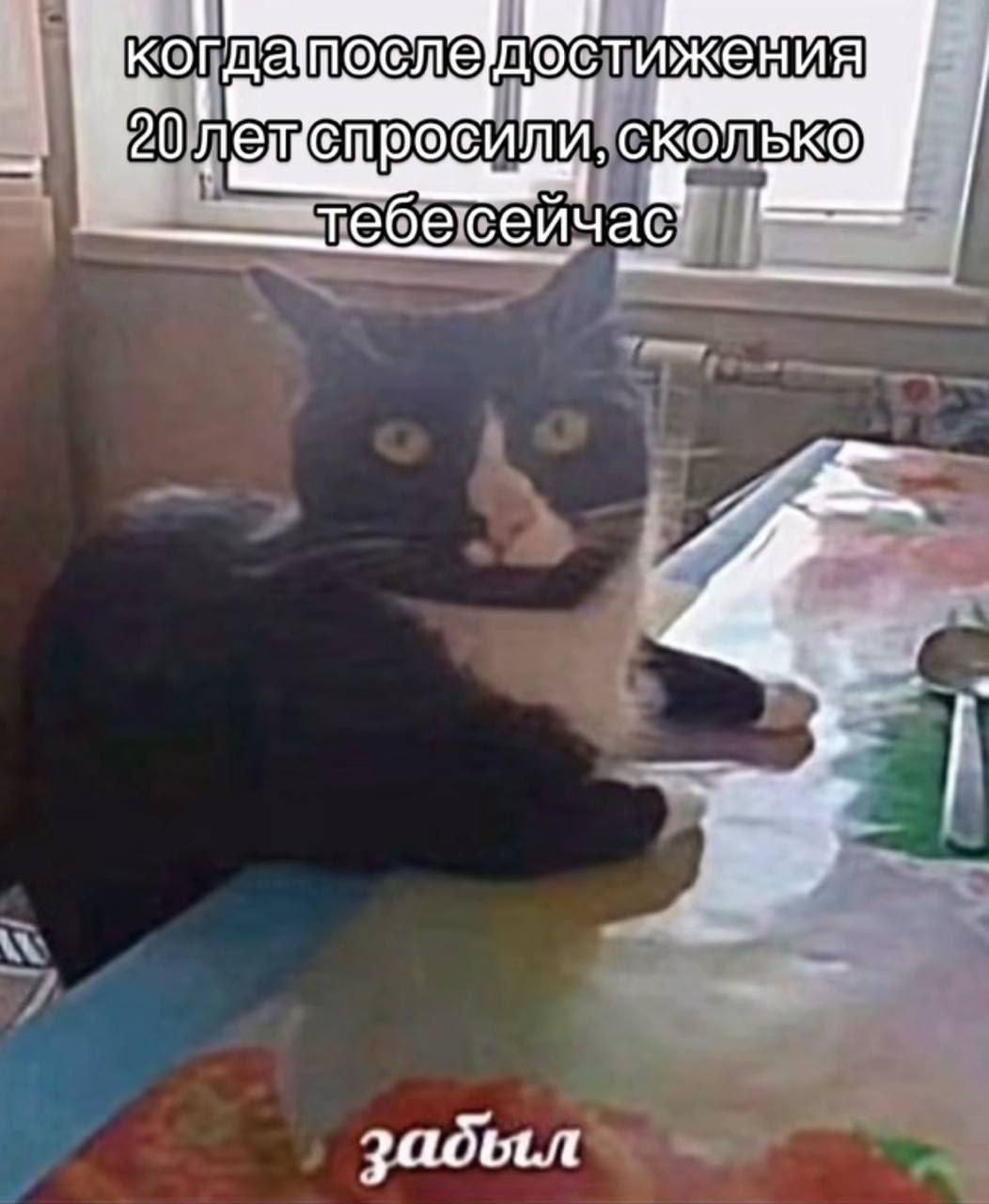 когда жения CUM, СКОЛЬК® забыл