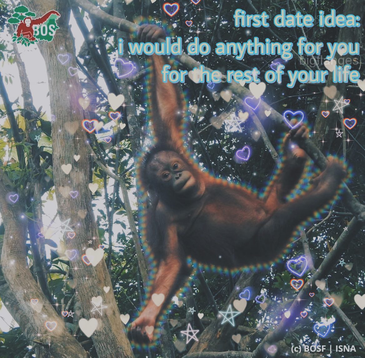 first date idea: anything for you for the rest of your Не, 4 4 BOSF ISNA