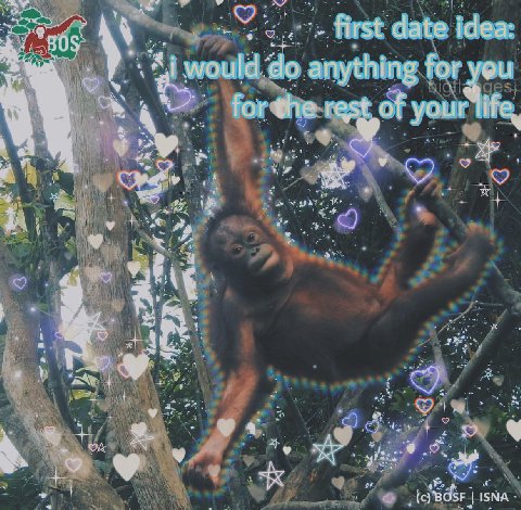 first date idea: anything for you for the rest of your Не, 4 4 BOSF ISNA