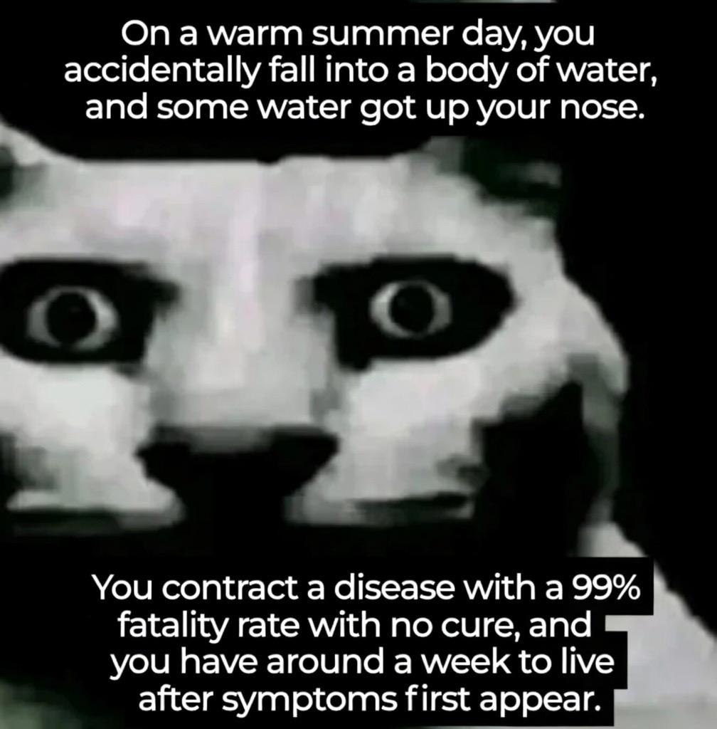 а \М/аггл summer day, you accidentally fall into a body of water, and some water got up your nose. You contract а disease with a 99% 1 fatality rate with no cure, and you have around a week to live af