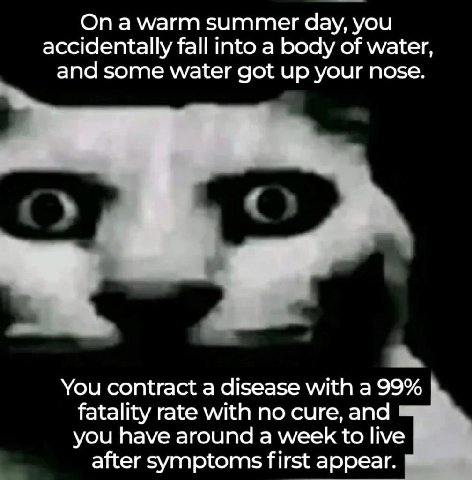 а \М/аггл summer day, you accidentally fall into a body of water, and some water got up your nose. You contract а disease with a 99% 1 fatality rate with no cure, and you have around a week to live af