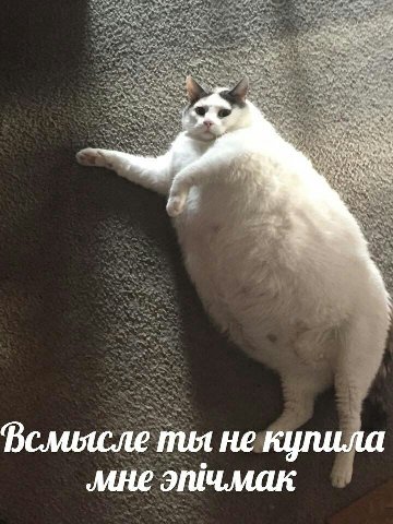 Вслиясле ты не купила мне эшчмак