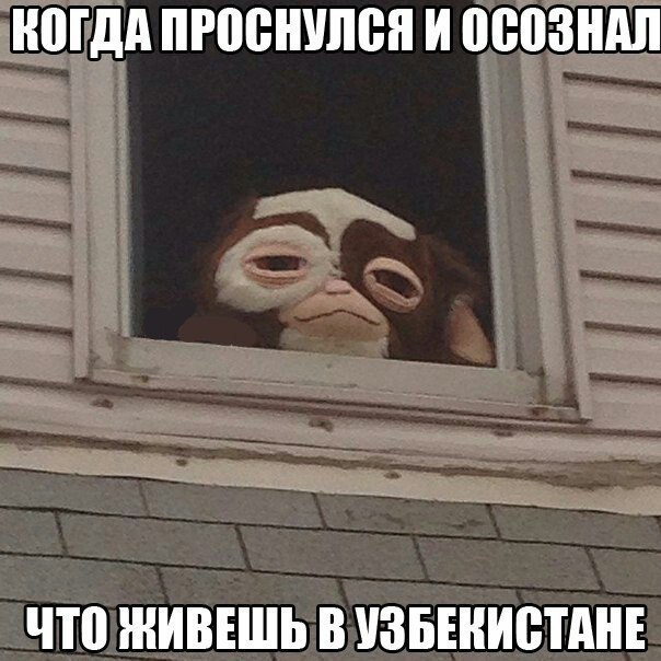 КОГДА ПРОСНУЛСЯ И ОСОЗНАЛ ЧТО ЖИВЕШЬ В УЗБЕКИСТАНЕ