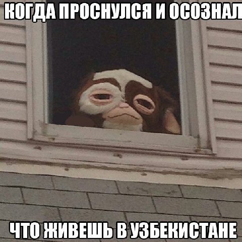 КОГДА ПРОСНУЛСЯ И ОСОЗНАЛ ЧТО ЖИВЕШЬ В УЗБЕКИСТАНЕ