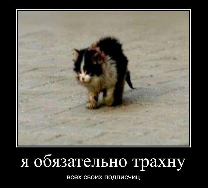 я обязательно трахну всех своих подписчиц