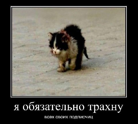 я обязательно трахну всех своих подписчиц