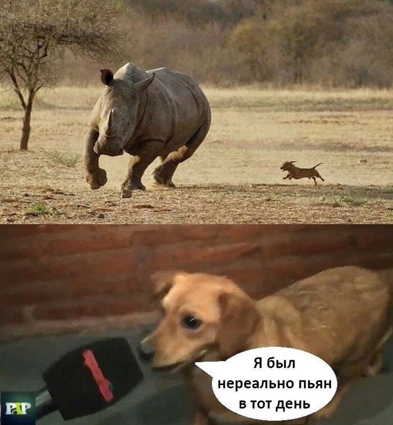 и Я был нереально пьян в тот день