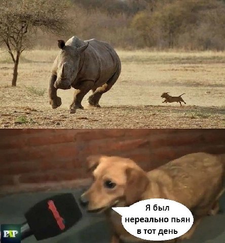 и Я был нереально пьян в тот день
