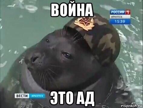 ВОИНА 15:39 1