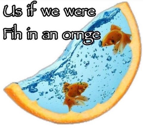 we were I an a И 44 a 7 4