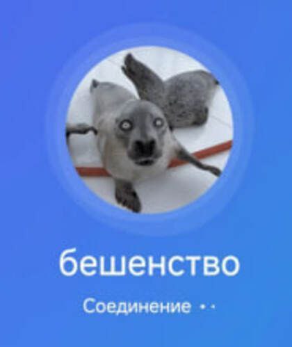 бешенство Соединение