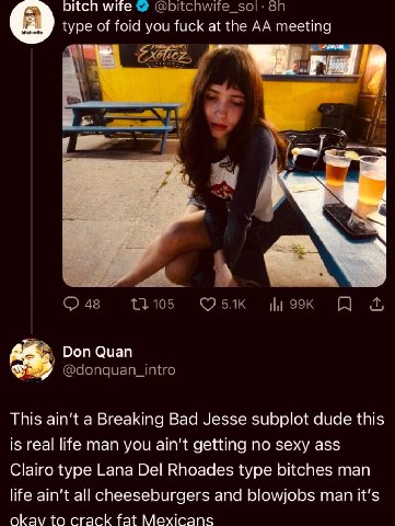 мпе type of foid you fuck at the meeting 48 13105 Don Оцап @donquan_intro This ain't a Breaking Bad Jesse subplot dude this is real life man you ain't getting no sexy ass Clairo type Lana Del Rhoades 