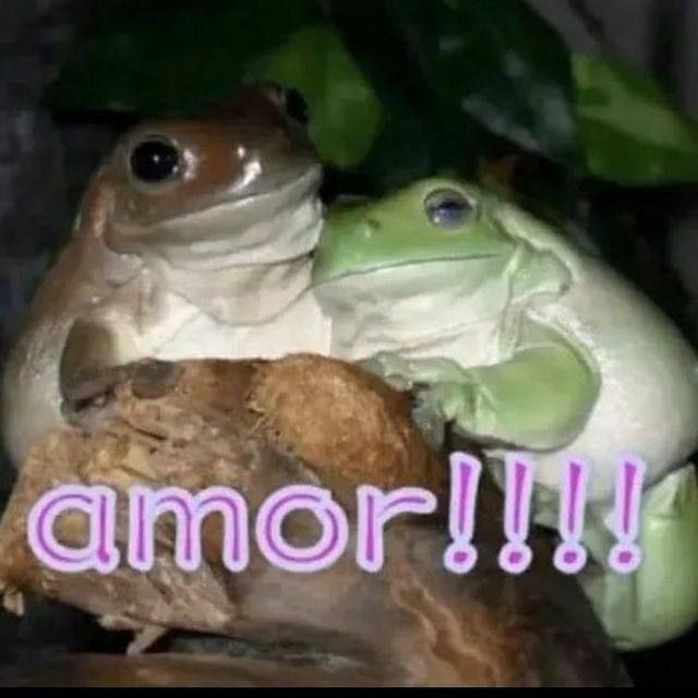 amor!