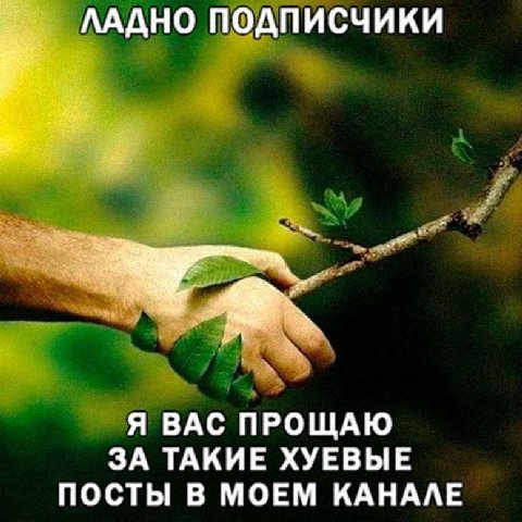 ЛАДНО ПОДПИСЧИКИ Я ВАС ПРОЩАЮ ЗА ТАКИЕ ХУЕВЫЕ ПОСТЫ В МОЕМ КАНАЛЕ