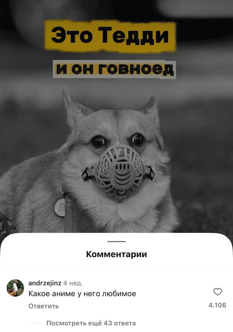 Комментарии andrzejinz 4 нед. Какое аниме у Hero любимое Ответить 4.106 Посмотреть ещё 43 ответа