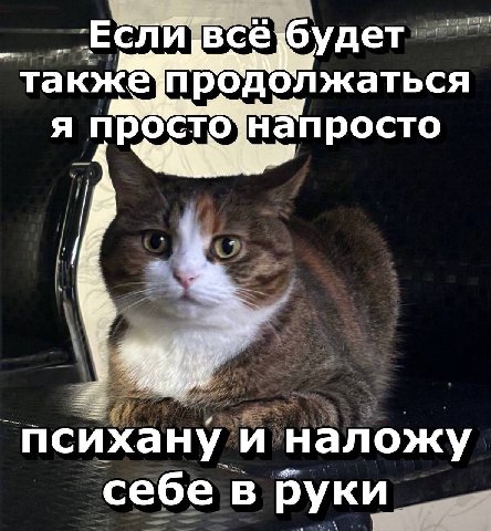 -Ecn всё будет такжепродолжаться я просто]напросто психа руки ее