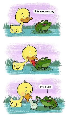 It is wednesday dude JONHOLE.co