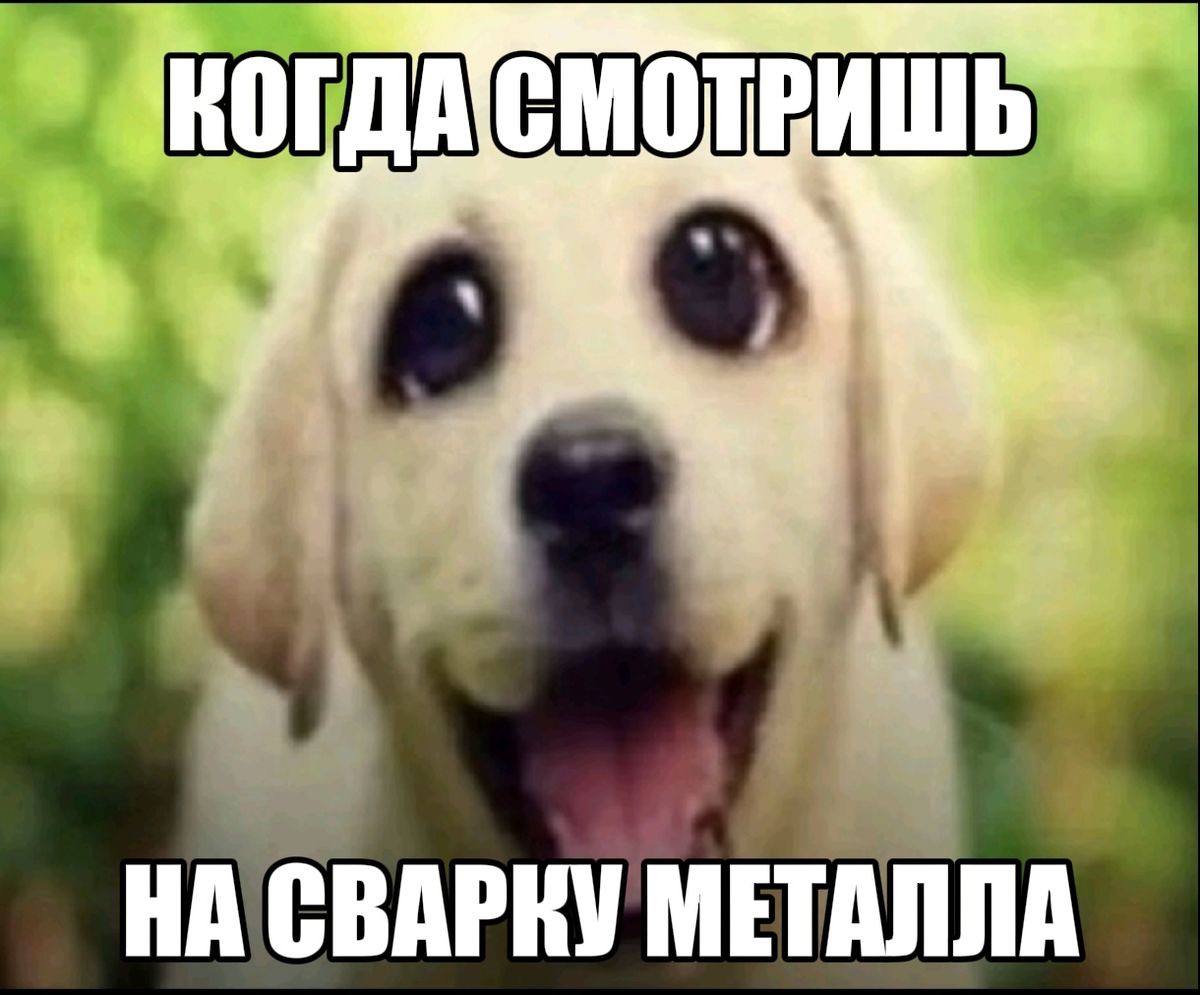 НА СВАРКУ МЕТАЛЛА